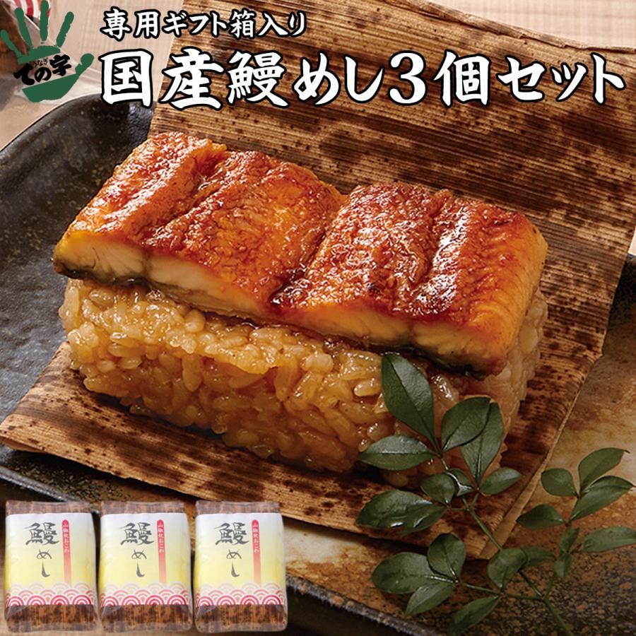 うなぎ 国産鰻めし 100g×3個セット – ての字 オンラインショップ