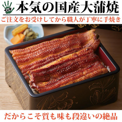 うなぎ 紀州備長炭・木箱入り 国産大蒲焼 450g (150g×3尾)