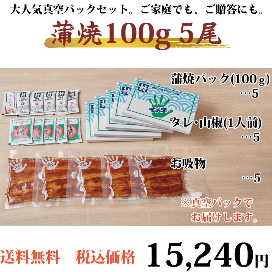 うなぎ 化粧箱入り国産蒲焼 100g×5セット