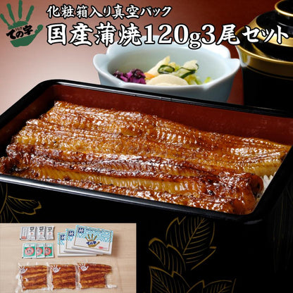 うなぎ 化粧箱入り国産蒲焼 120g×3セット