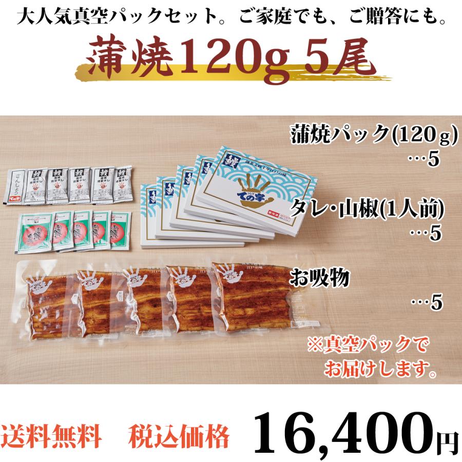 うなぎ 化粧箱入り国産蒲焼 120g×5セット