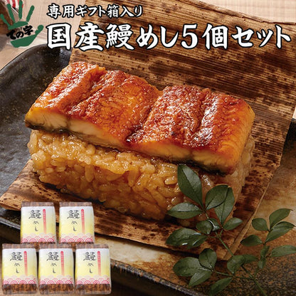 うなぎ 国産鰻めし 100g×5個セット