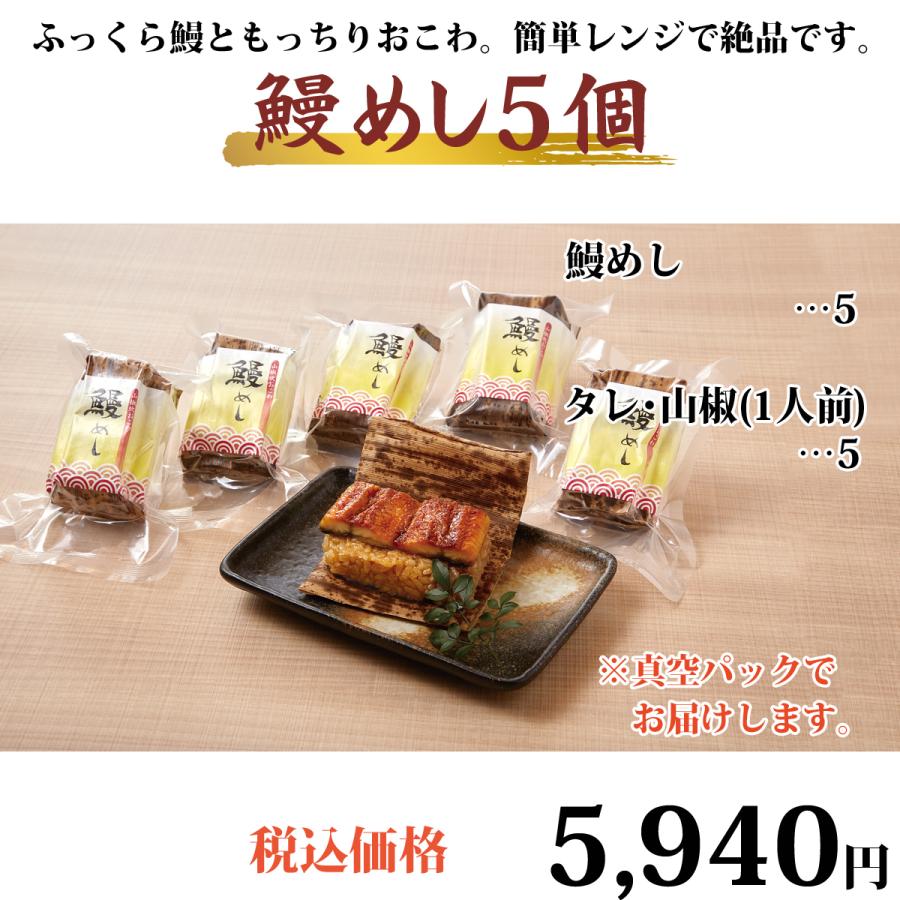 うなぎ 国産鰻めし 100g×5個セット